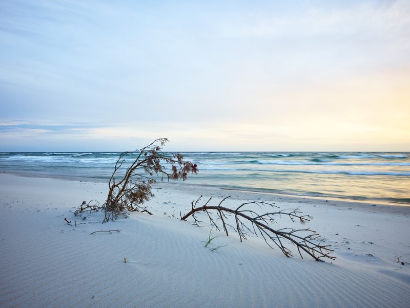 Landskapsfotografi från Skåne och södra Sverige | Peter Westrup