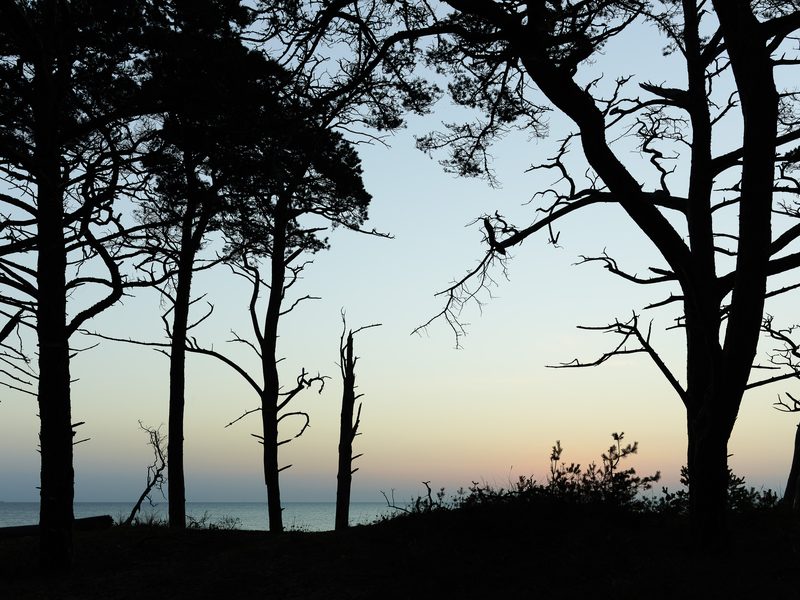 Landskapsfotografi från Skåne och södra Sverige | Peter Westrup