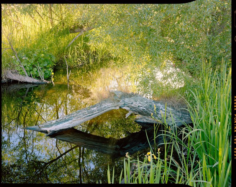 Landskapsfotografi från Skåne och södra Sverige | Peter Westrup