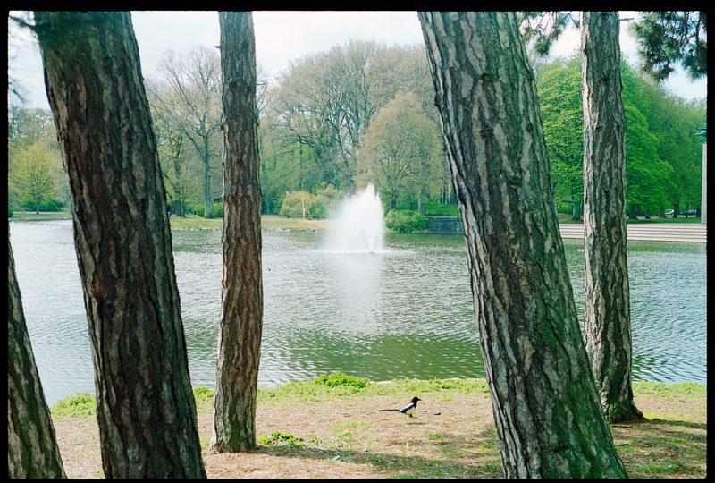 Dokumentärt fotografi från Malmö och Skåne | Peter Westrup